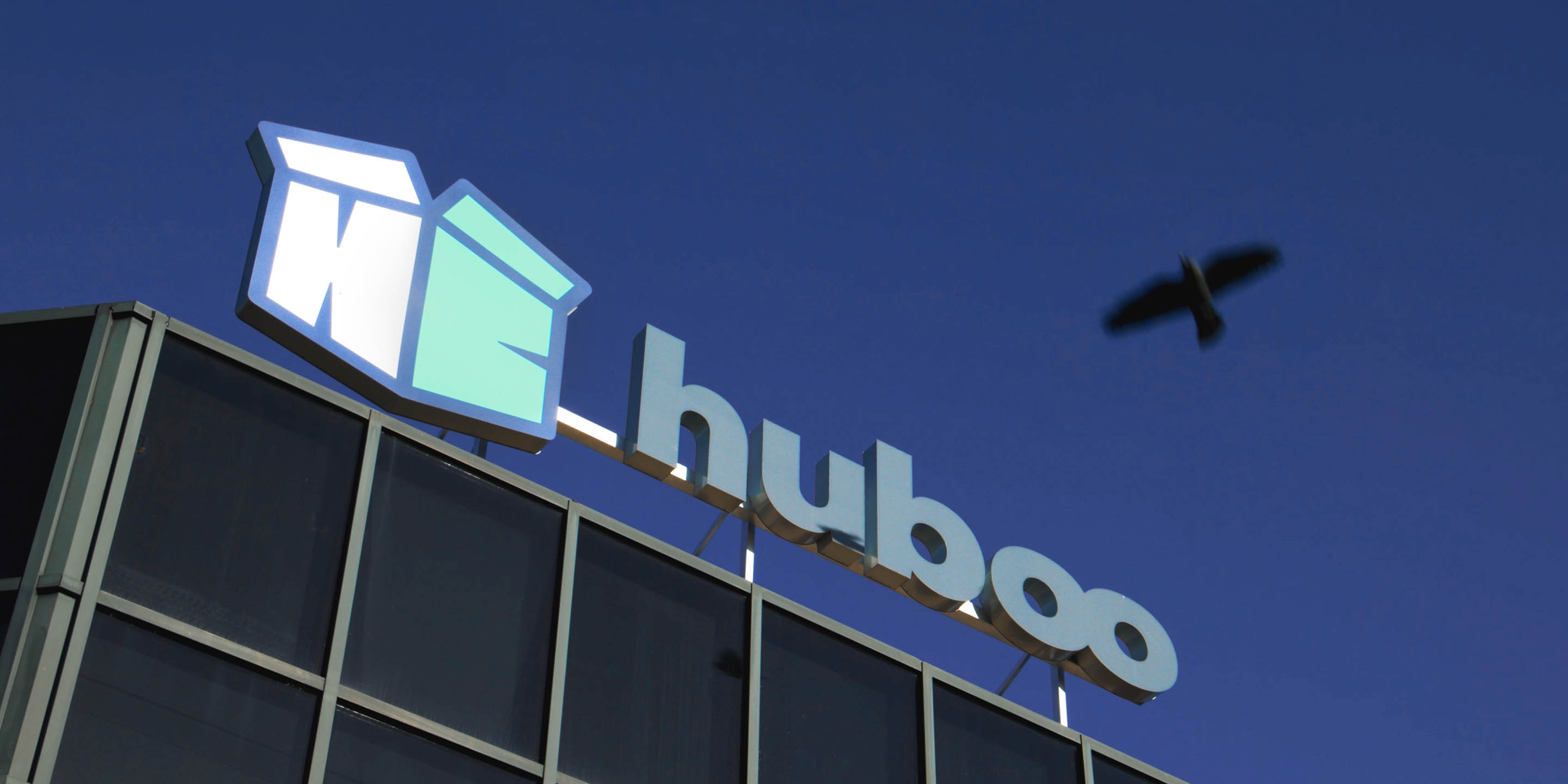 Huboo corporate videography filmed at the Netherlands office 1