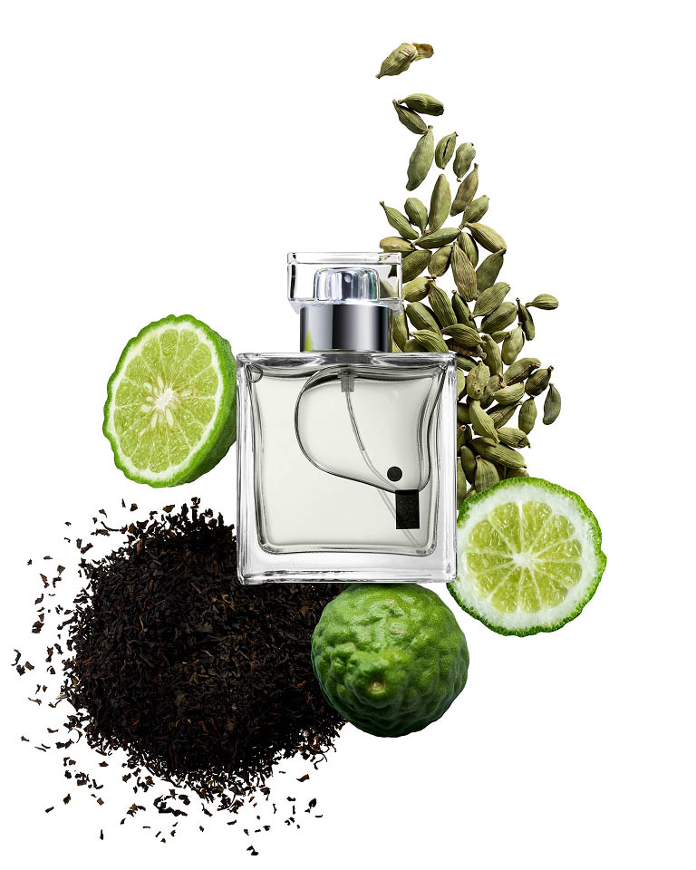 coordinated perfume collection photographed for ecommerce 6